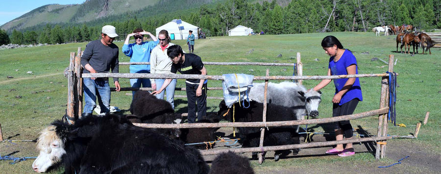 Visit Yak Herdsman 