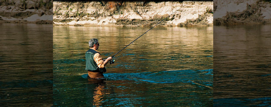 Explore Different Fish Species