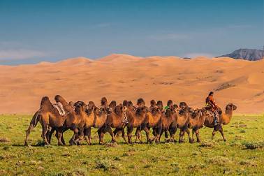 Beauty of Mongolia Tour (11 days)