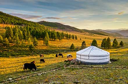 Sunset_Over_Mongolian_valley_mobile