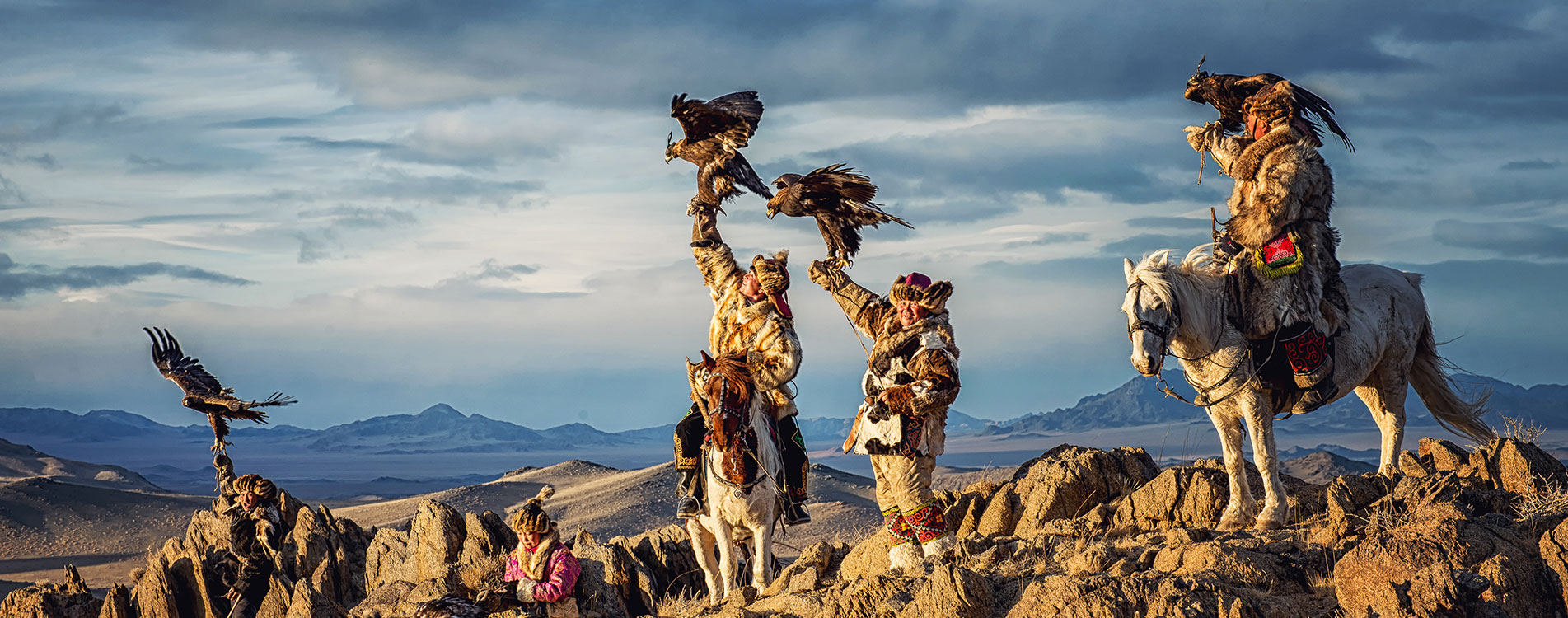 How to train eagles to hunt in Mongolia?