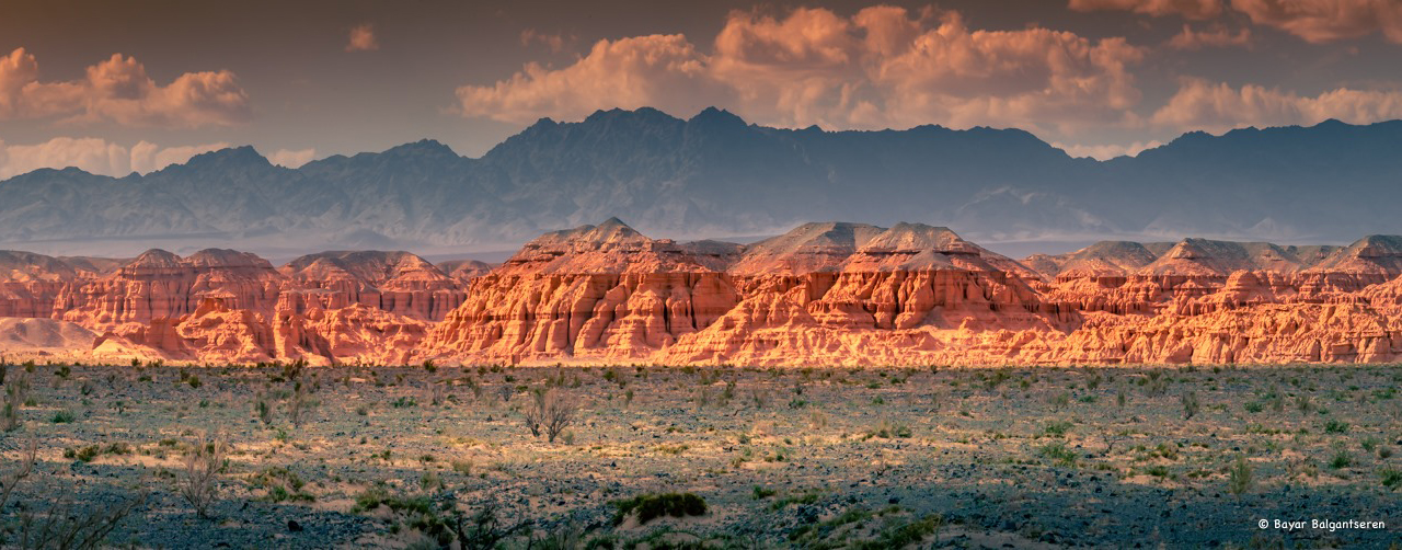 ​5 MUST DO activities when visiting the Gobi Desert