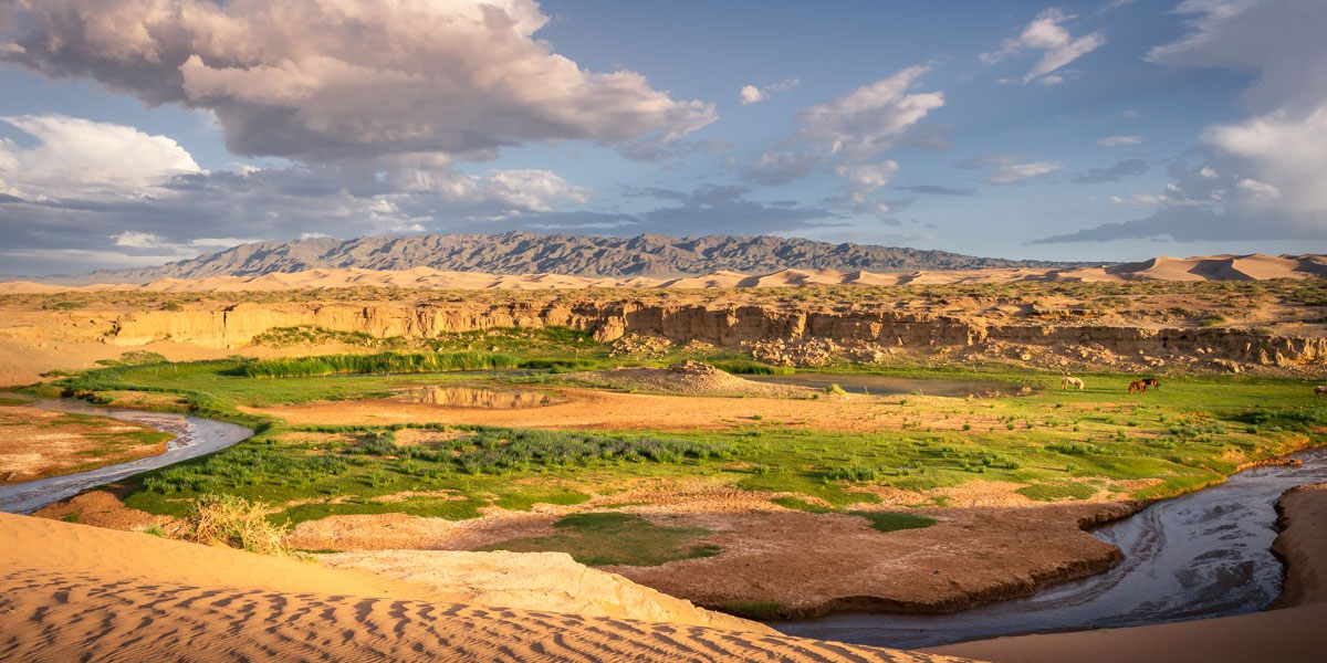 Khongor Sand Dunes