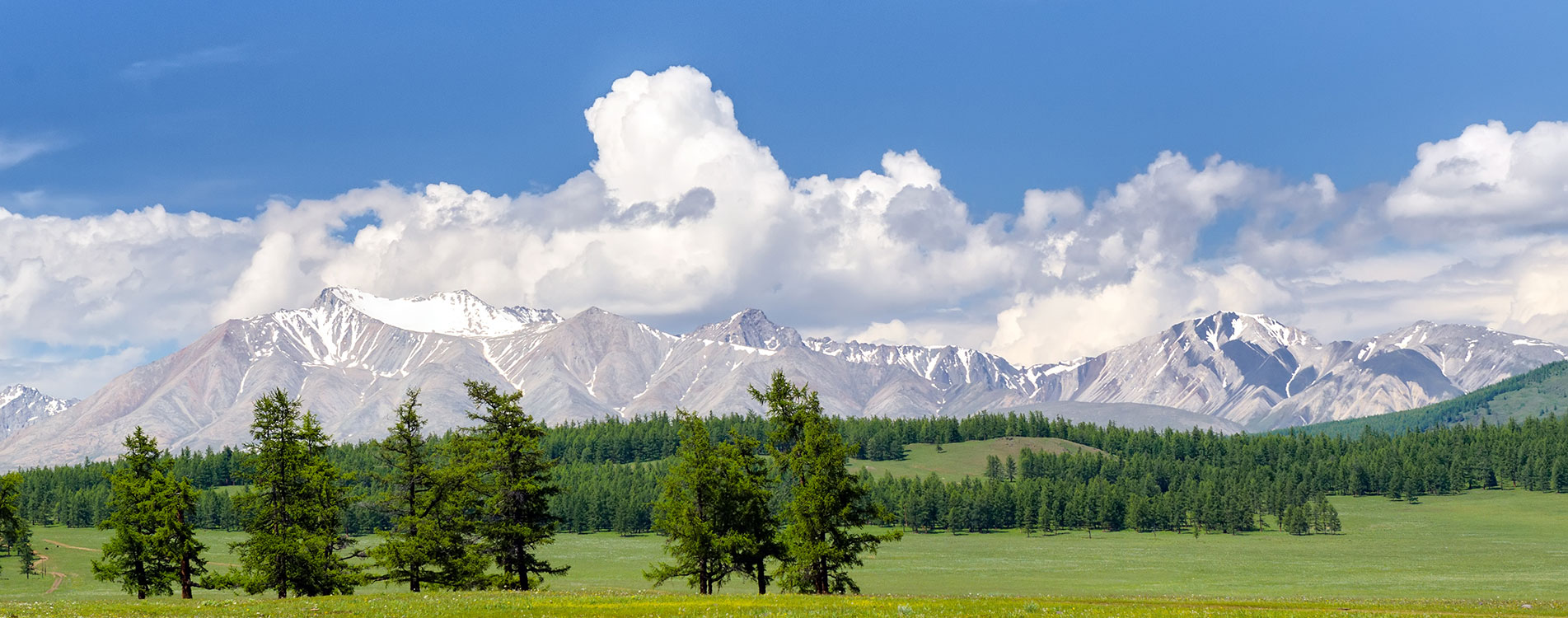 Why a Tailor Made Trip Is the Best Way to Experience Mongolia